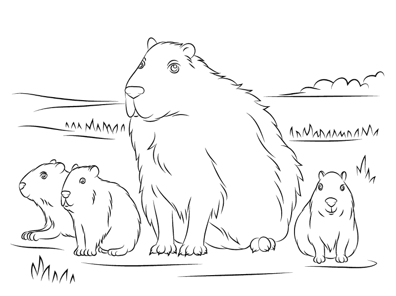 Capybara Cute Babies Coloring Pages Md Coloring Page — Free Printable — free printable coloring page