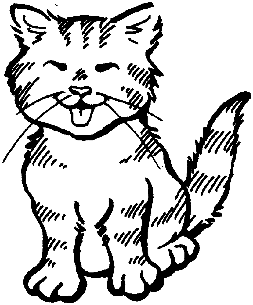 Cat 22 Coloring Page Md Coloring Page — Free Printable — free printable coloring page