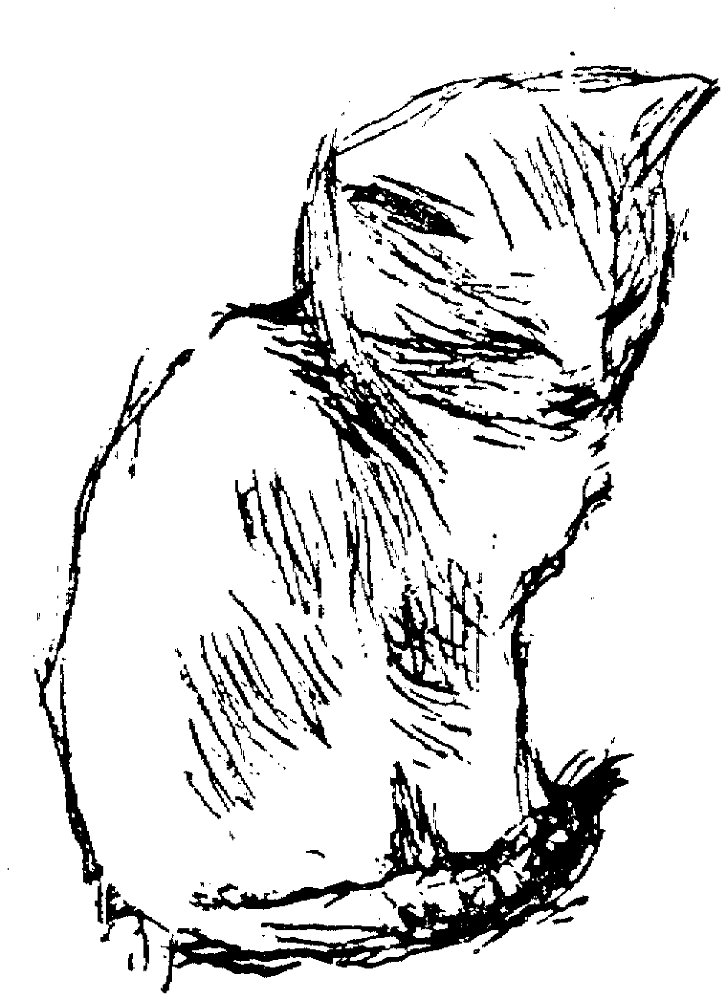 Cat 23 Coloring Page Md Coloring Page — Free Printable — free printable coloring page