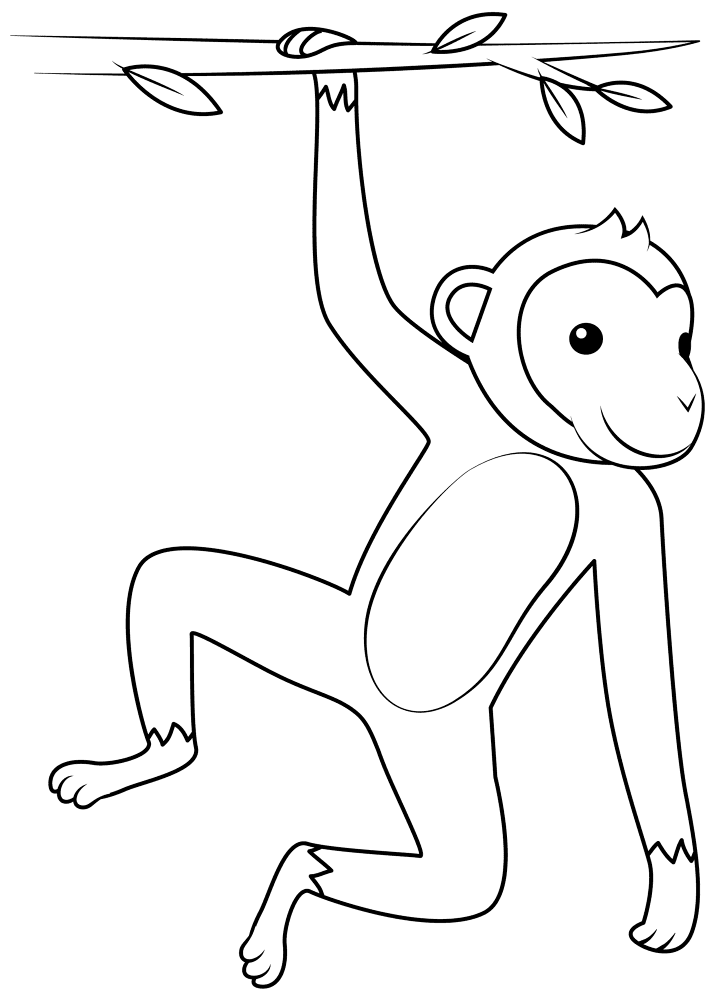 Hanging Monkey Coloring Page Md Coloring Page — Free Printable — free printable coloring page
