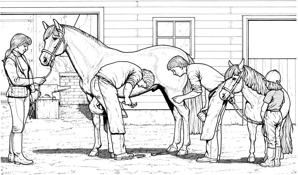 Horse And Pony Coloring Page Md Coloring Page — Free Printable — free printable coloring page