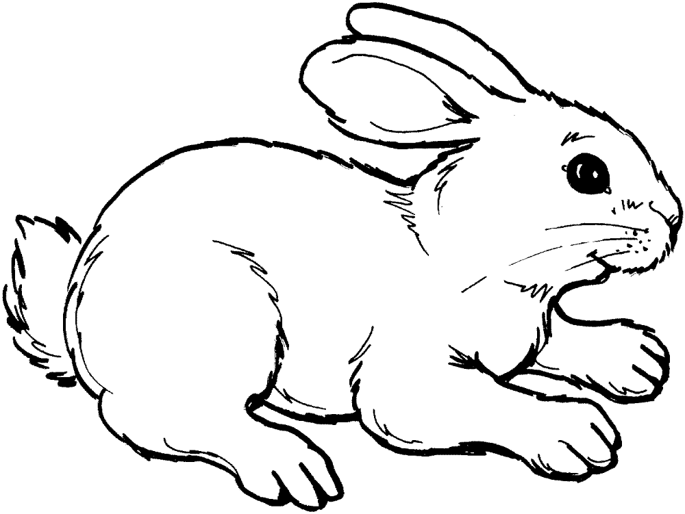 Rabbit 8 Coloring Page Md Coloring Page — Free Printable — free printable coloring page