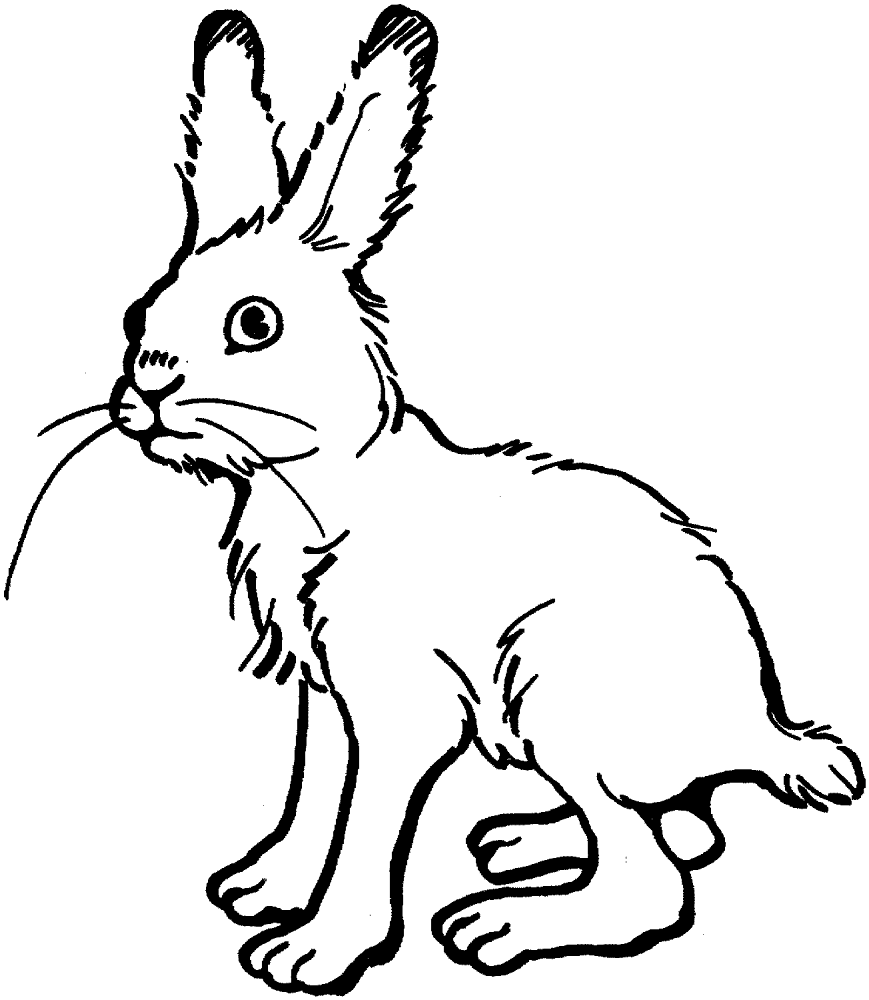 Rabbit 9 Coloring Page Md Coloring Page — Free Printable — free printable coloring page