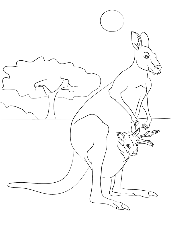 Red Kangaroo Baby Coloring Pages Md Coloring Page — Free Printable — free printable coloring page