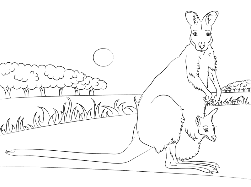 Red Necked Wallaby Baby Coloring Pages Md Coloring Page — Free Printable — free printable coloring page