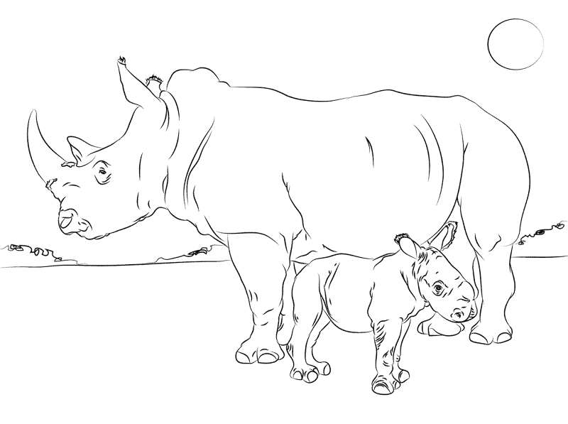 Rhino Baby Mother Coloring Pages Md Coloring Page — Free Printable — free printable coloring page