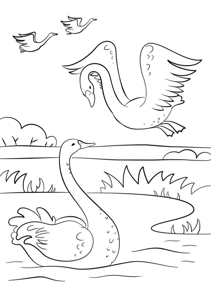 Autumn Scene With Swans Coloring Page Md Coloring Page — Free Printable — free printable coloring page