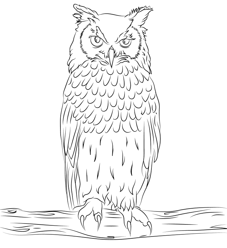 Bengalese Eagle Owl Coloring Page Md Coloring Page — Free Printable — free printable coloring page