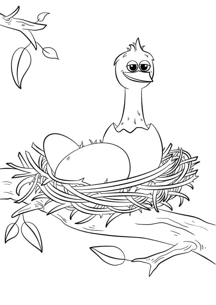 Bird Nest With Eggs Coloring Page Md Coloring Page — Free Printable — free printable coloring page