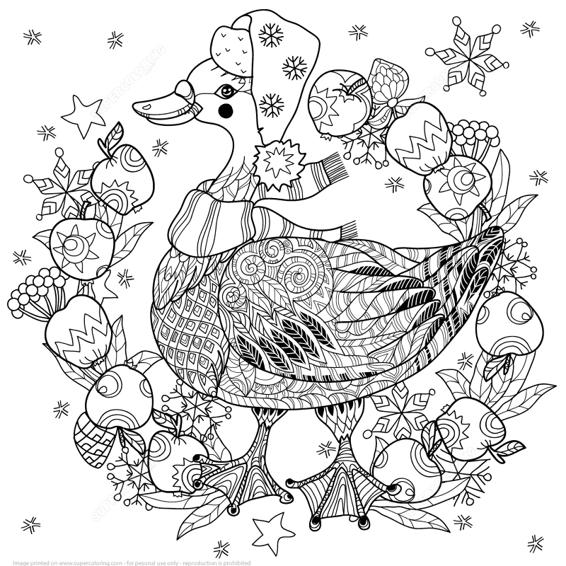 Christmas Goose With Apples Zentangle Coloring Page Md Coloring Page — Free Printable — free printable coloring page