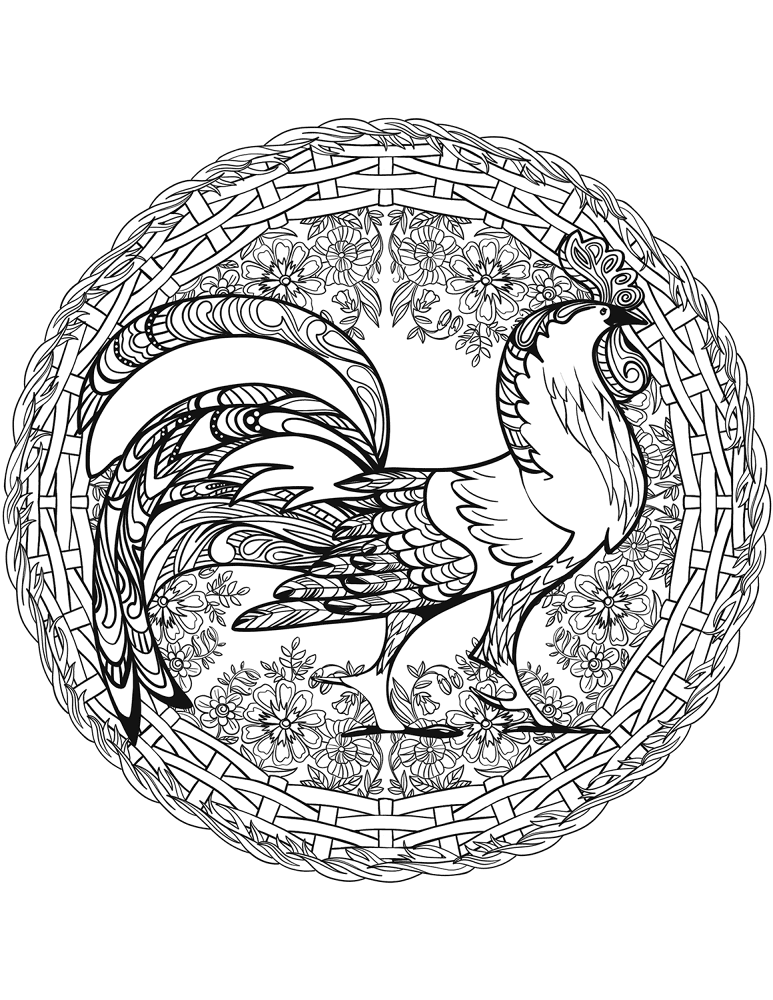 Cock Mandala Coloring Page Md Coloring Page — Free Printable — free printable coloring page