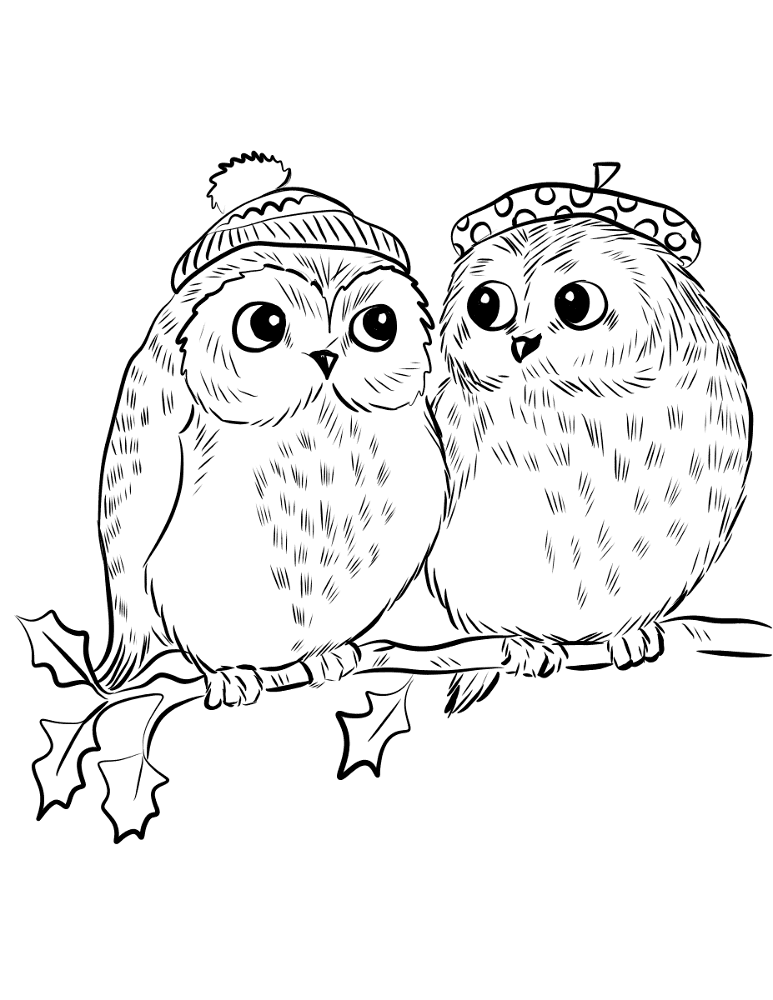 Couple Of Cute Owls Coloring Page Md Coloring Page — Free Printable — free printable coloring page
