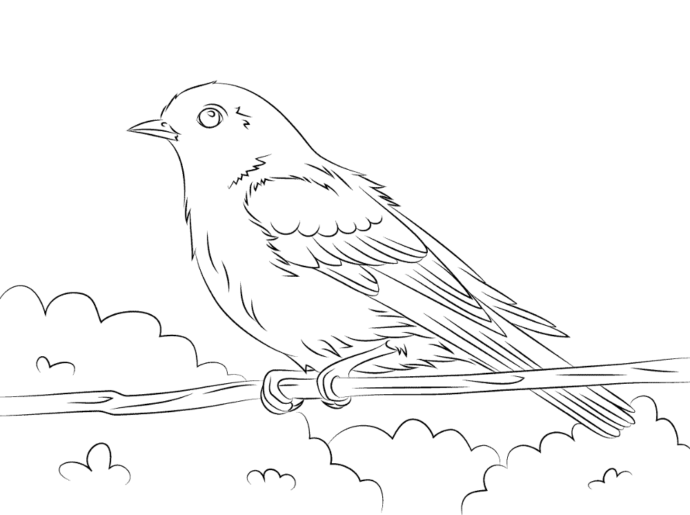 Eastern Bluebird Coloring Pages Md Coloring Page — Free Printable — free printable coloring page