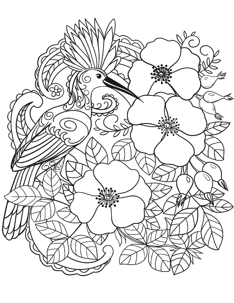 Eurasian Hoopoe Bird In Flowers Coloring Page Md Coloring Page — Free Printable — free printable coloring page