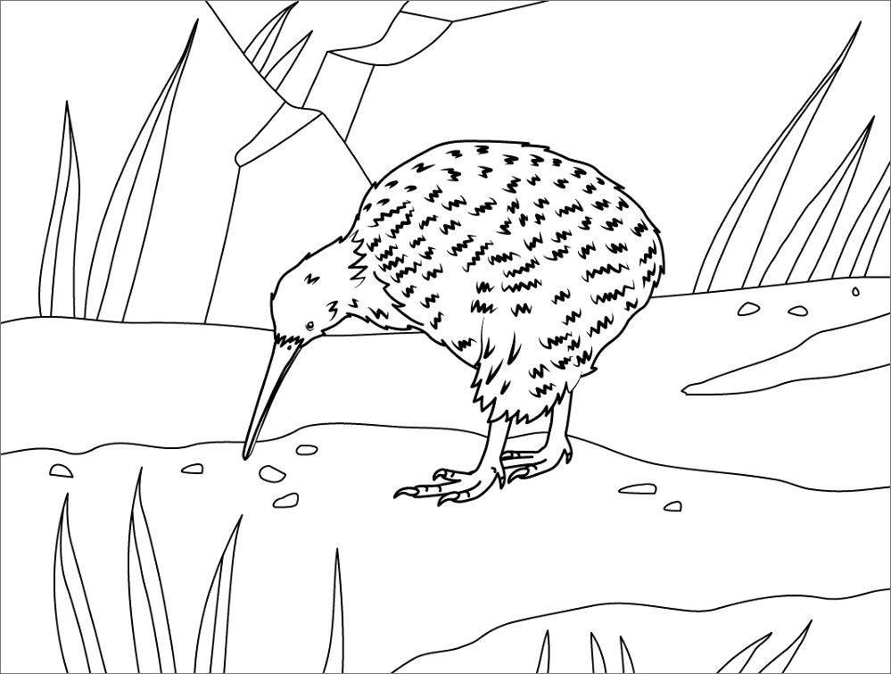 Great Spotted Kiwi Coloring Page Md Coloring Page — Free Printable — free printable coloring page