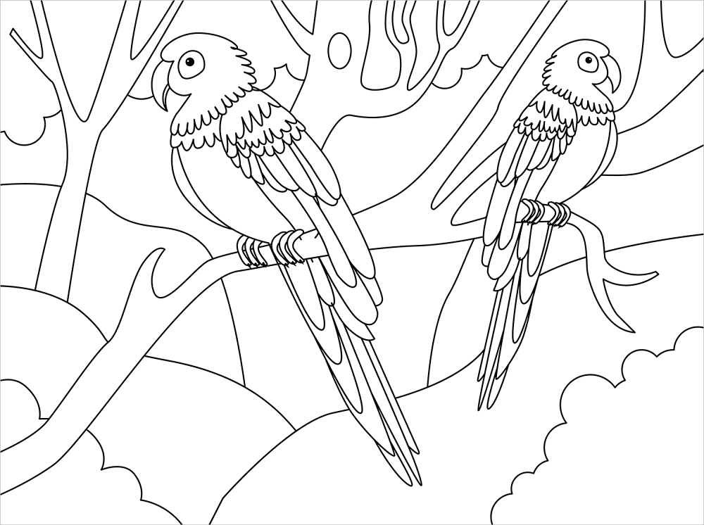 Macaw Coloring Page Md Coloring Page — Free Printable — free printable coloring page