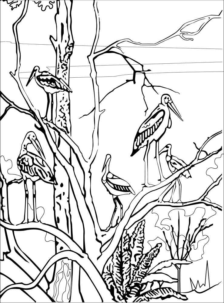Marabou Stork 01 Coloring Page Md Coloring Page — Free Printable — free printable coloring page