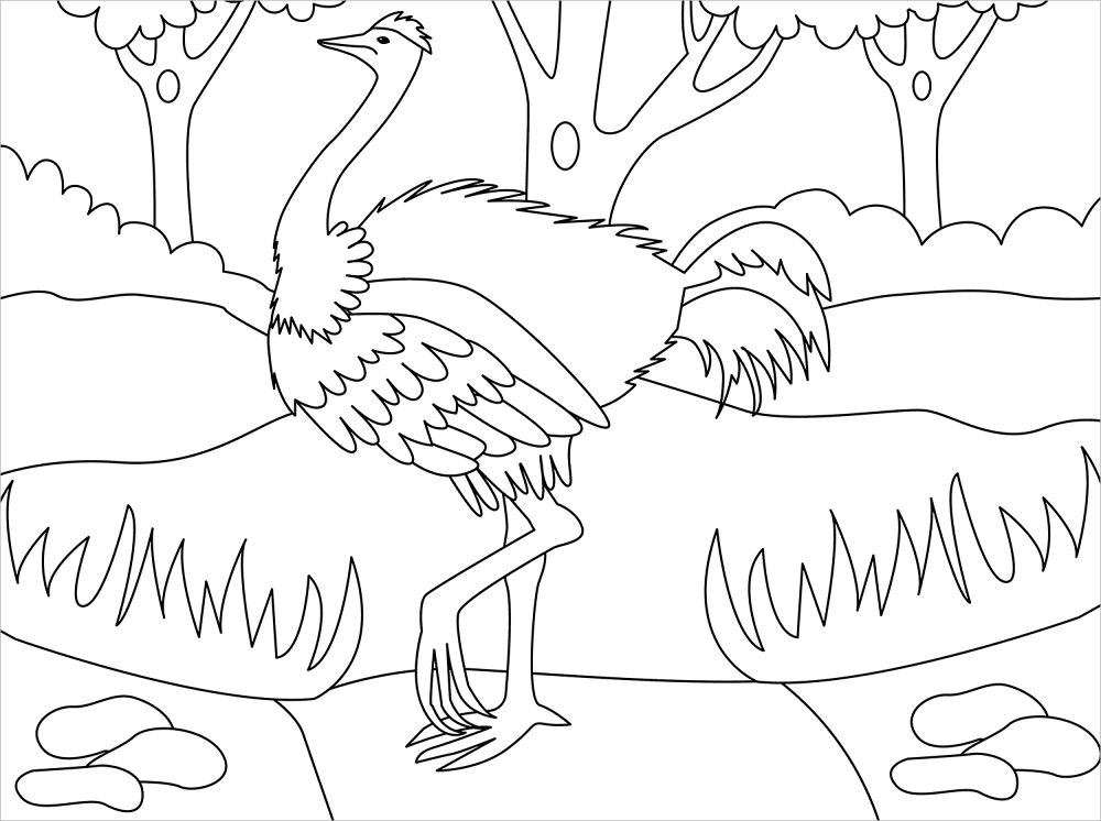 Ostrich Coloring Page Md Coloring Page — Free Printable — free printable coloring page