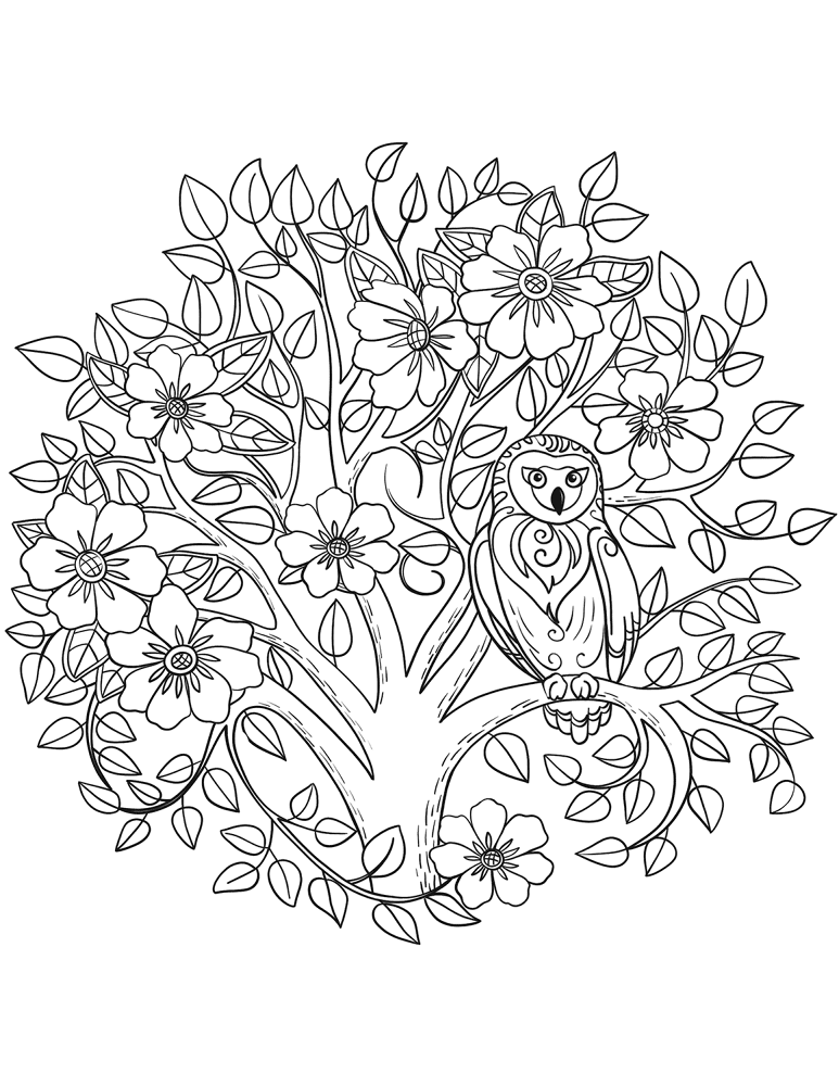 Owl And Blooming Tree Coloring Page Md Coloring Page — Free Printable — free printable coloring page