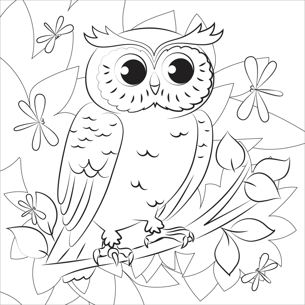 Owl Coloring Page Md Coloring Page — Free Printable — free printable coloring page