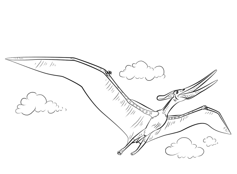 Pteranodon Coloring Page Md Coloring Page — Free Printable — free printable coloring page