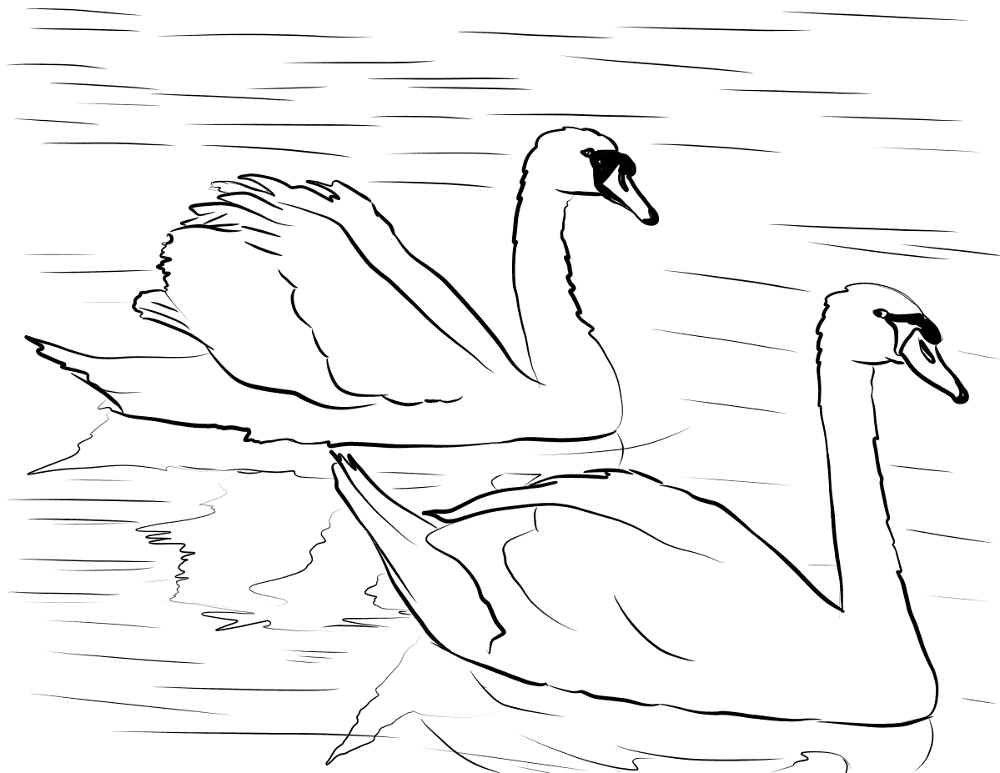 Swans Sliding Coloring Page Md Coloring Page — Free Printable — free printable coloring page