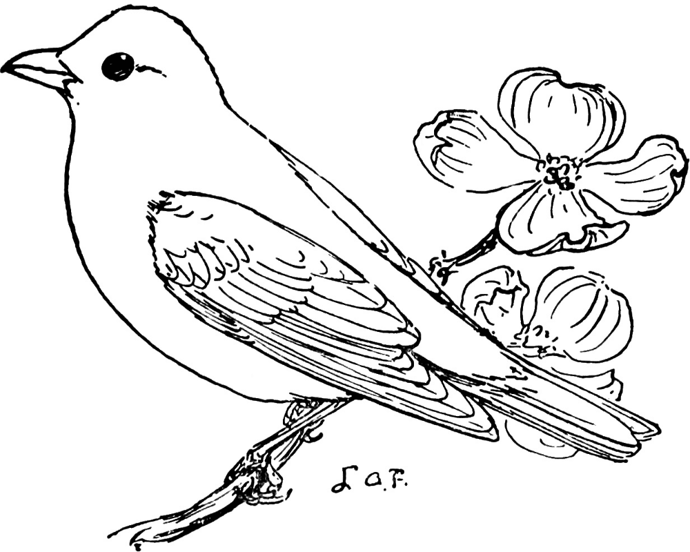 The Scarlet Tanager Coloring Page Md Coloring Page — Free Printable — free printable coloring page