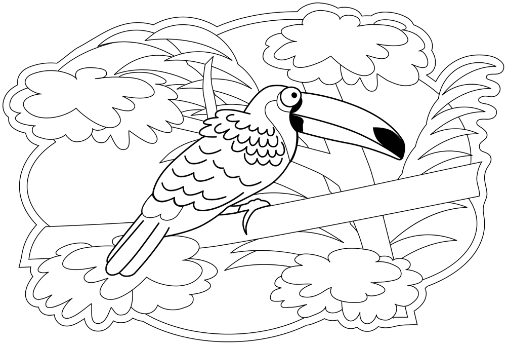 Toucan Coloring Page Md Coloring Page — Free Printable — free printable coloring page