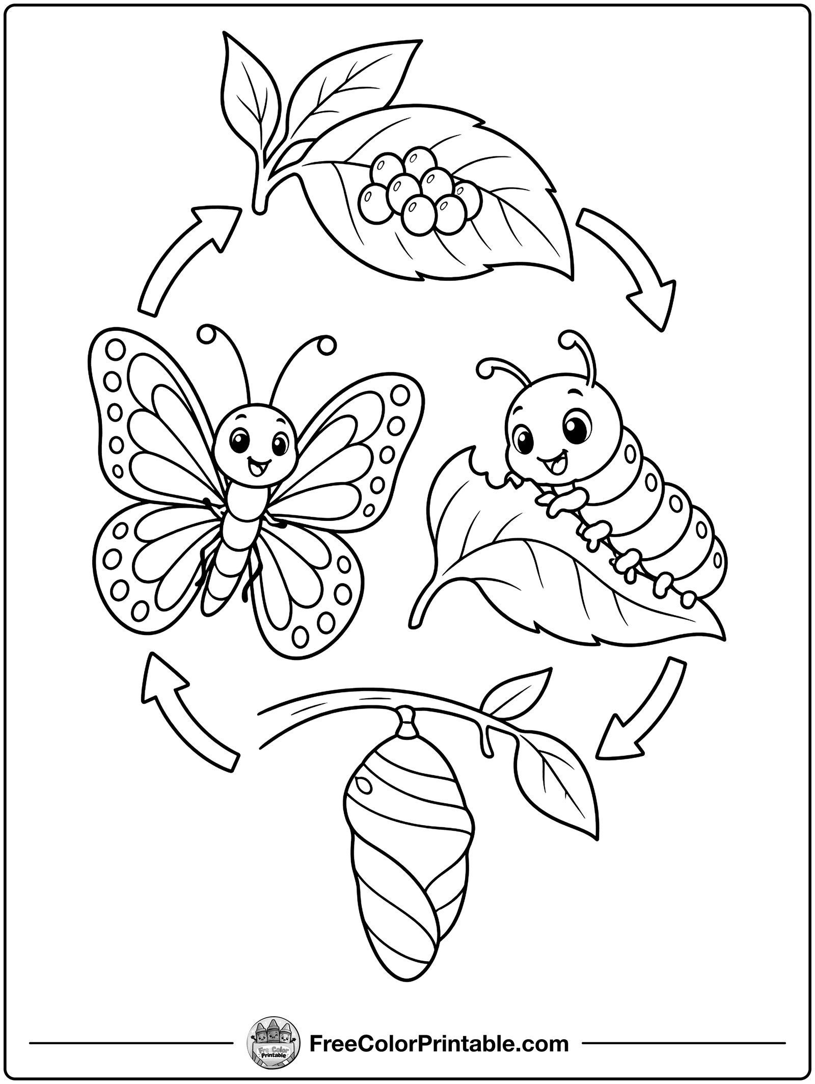 Butterfly Life Cycle Coloring Page — free color printable