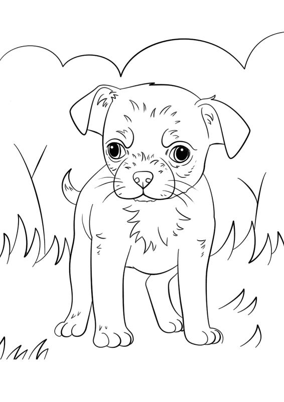 Chihuahua Puppy Coloring Page Md Coloring Page — Free Printable — free printable coloring page