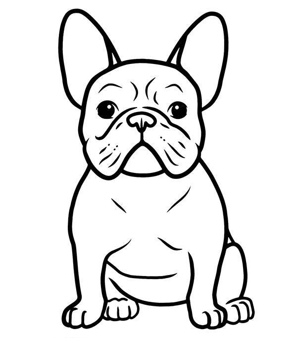 Coloring Sheet Dog French Bulldog Coloring Page — Free Printable — free printable coloring page