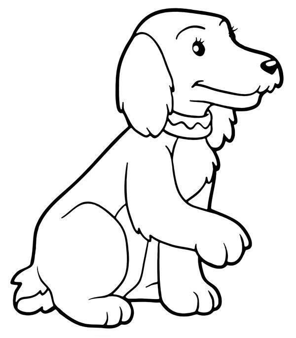 Coloring Sheet Dog Spaniel Coloring Page — Free Printable — free printable coloring page