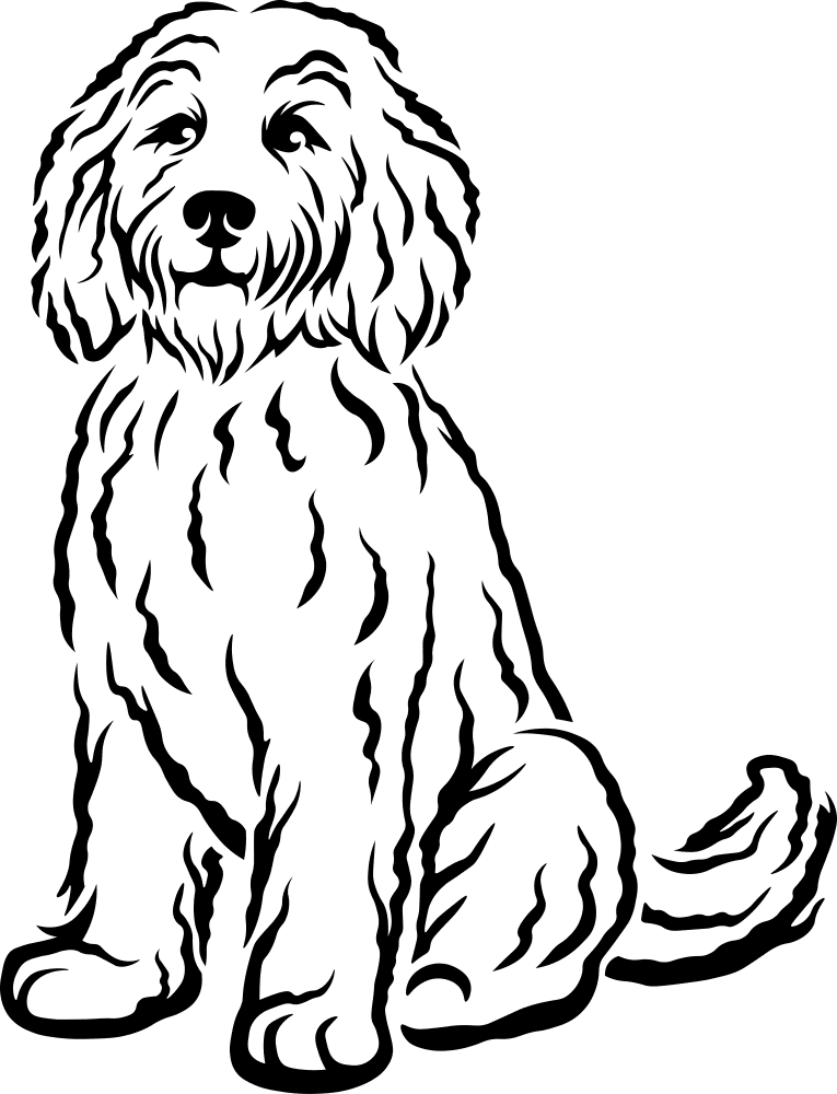 Goldendoodle Coloring Page Md Coloring Page — Free Printable — free printable coloring page