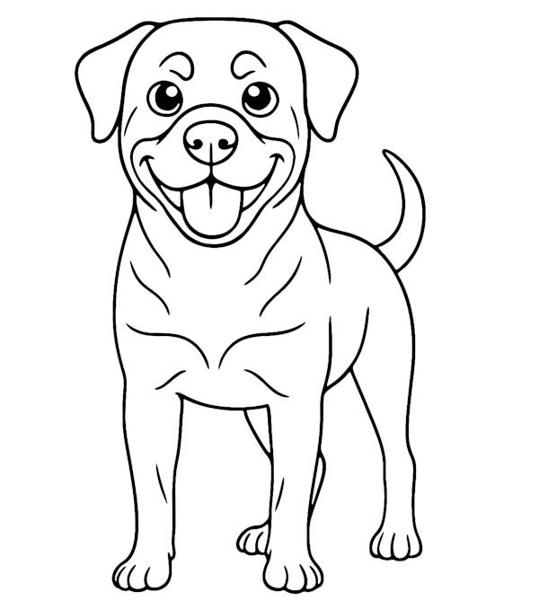 Rottweiler Dog Coloring Page Coloring Page — Free Printable — free printable coloring page