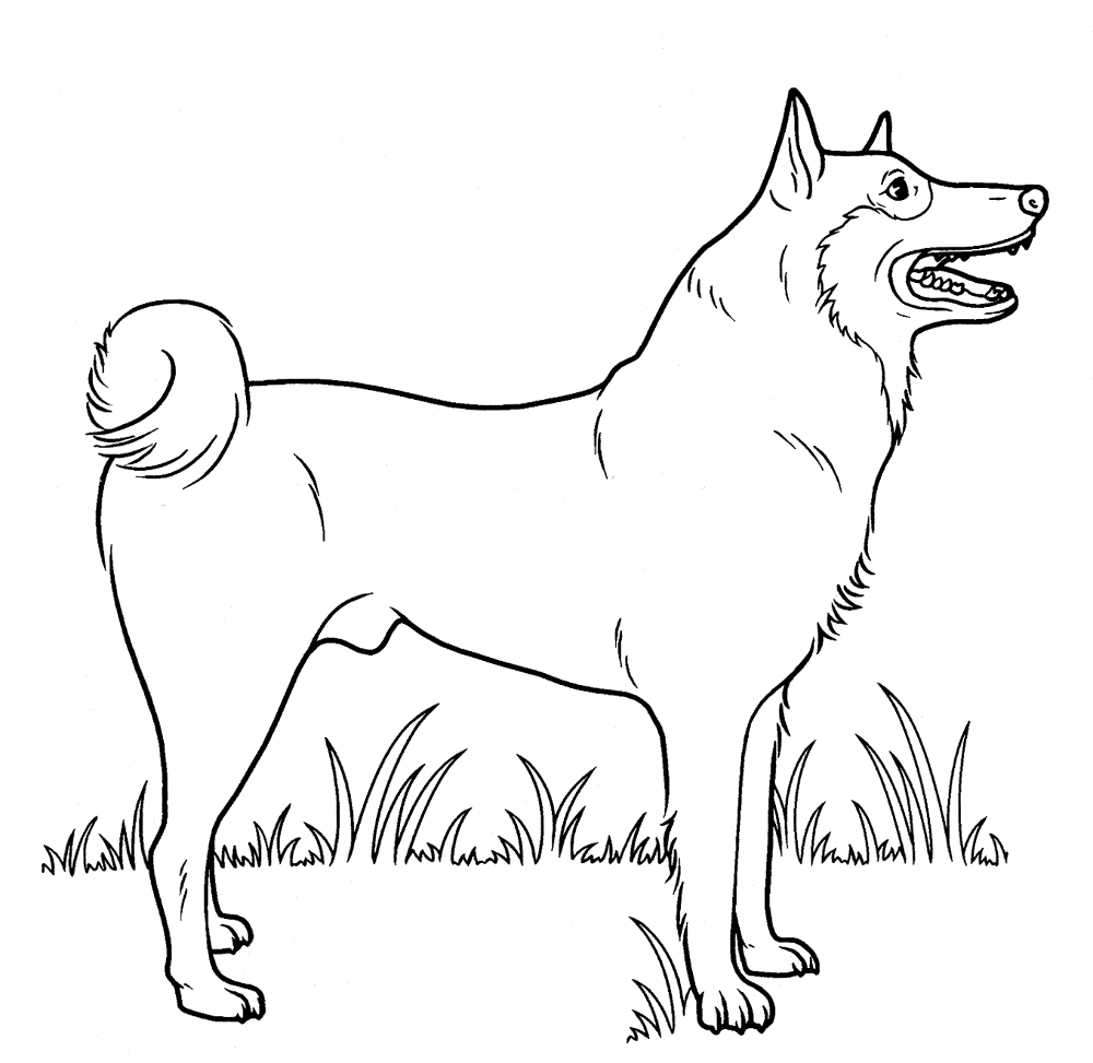 Street Dog Coloring Page Md Coloring Page — Free Printable — free printable coloring page
