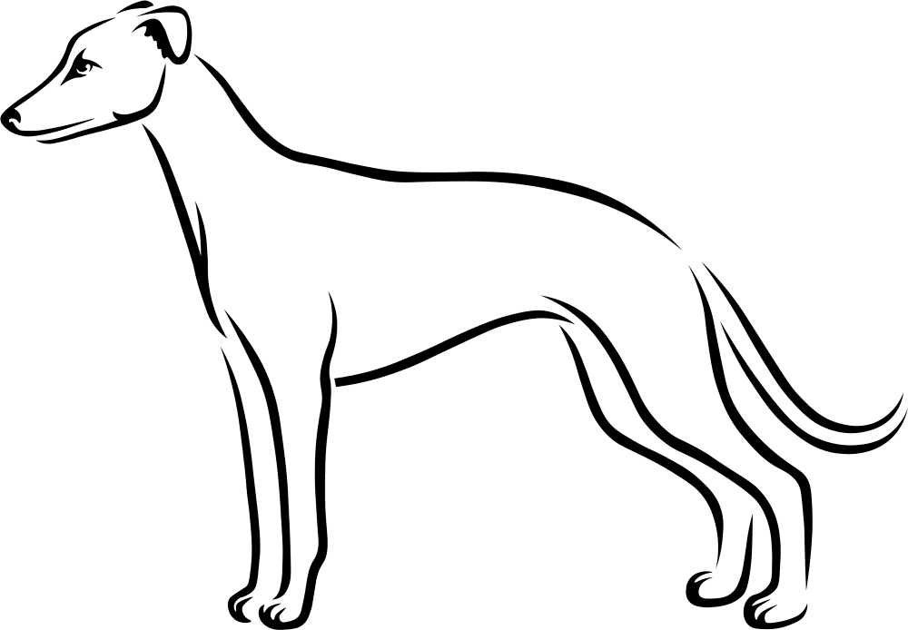 Whippet Coloring Page Md Coloring Page — Free Printable — free printable coloring page