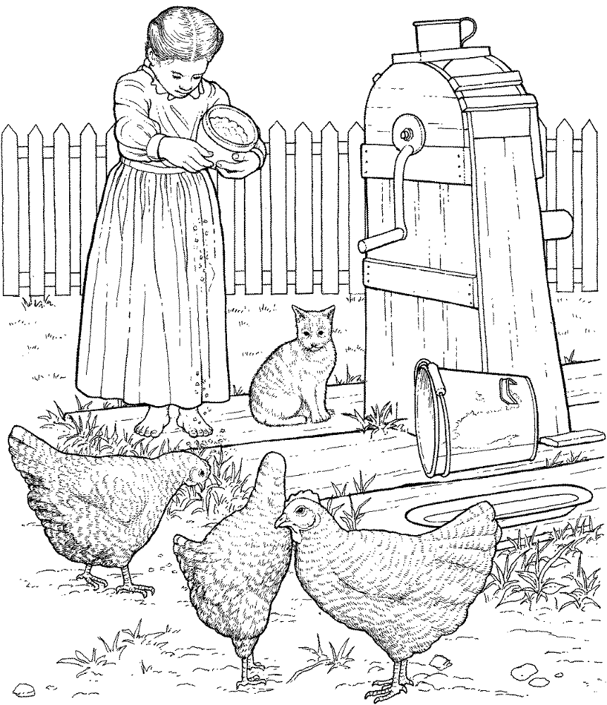 Chicken In Farm Coloring Page Md Coloring Page — Free Printable — free printable coloring page