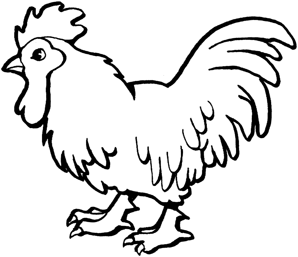 Picture Of Chicken Coloring Page Md Coloring Page — Free Printable — free printable coloring page