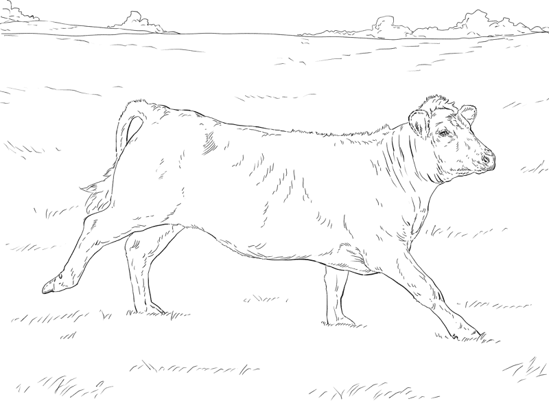Running Cow Coloring Page Md Coloring Page — Free Printable — free printable coloring page