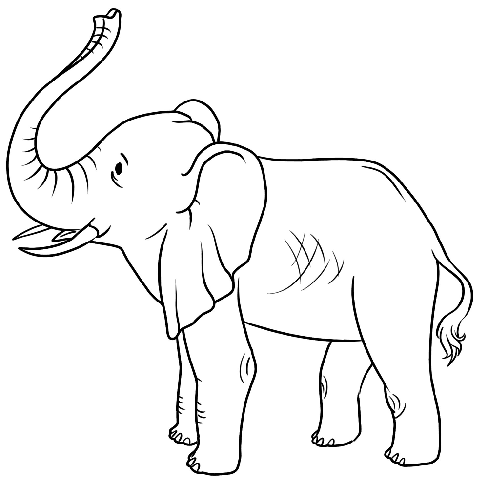 35768cdf 6aac 4a99 9a4a E2ef783a9650 Md Coloring Page — Free Printable — free printable coloring page
