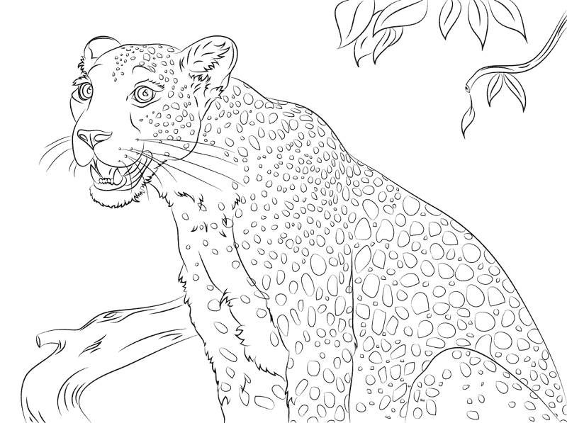 Cute Leopard Coloring Pages Md Coloring Page — Free Printable — free printable coloring page