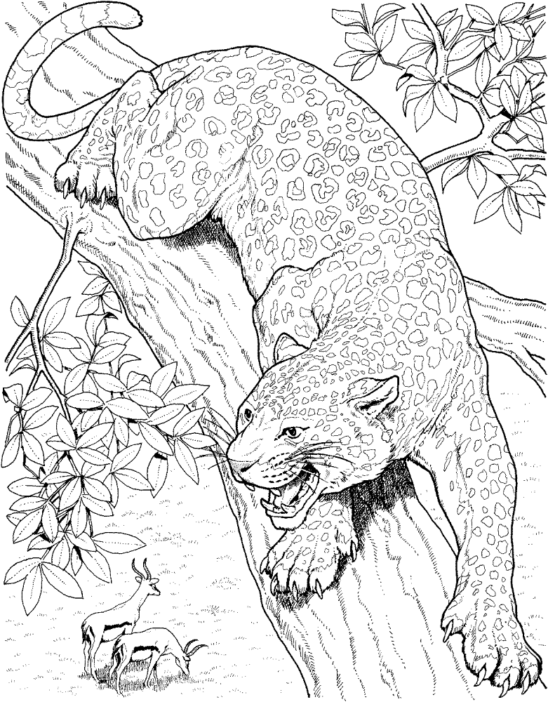 Leopard Roars On Tree Coloring Page Md Coloring Page — Free Printable — free printable coloring page