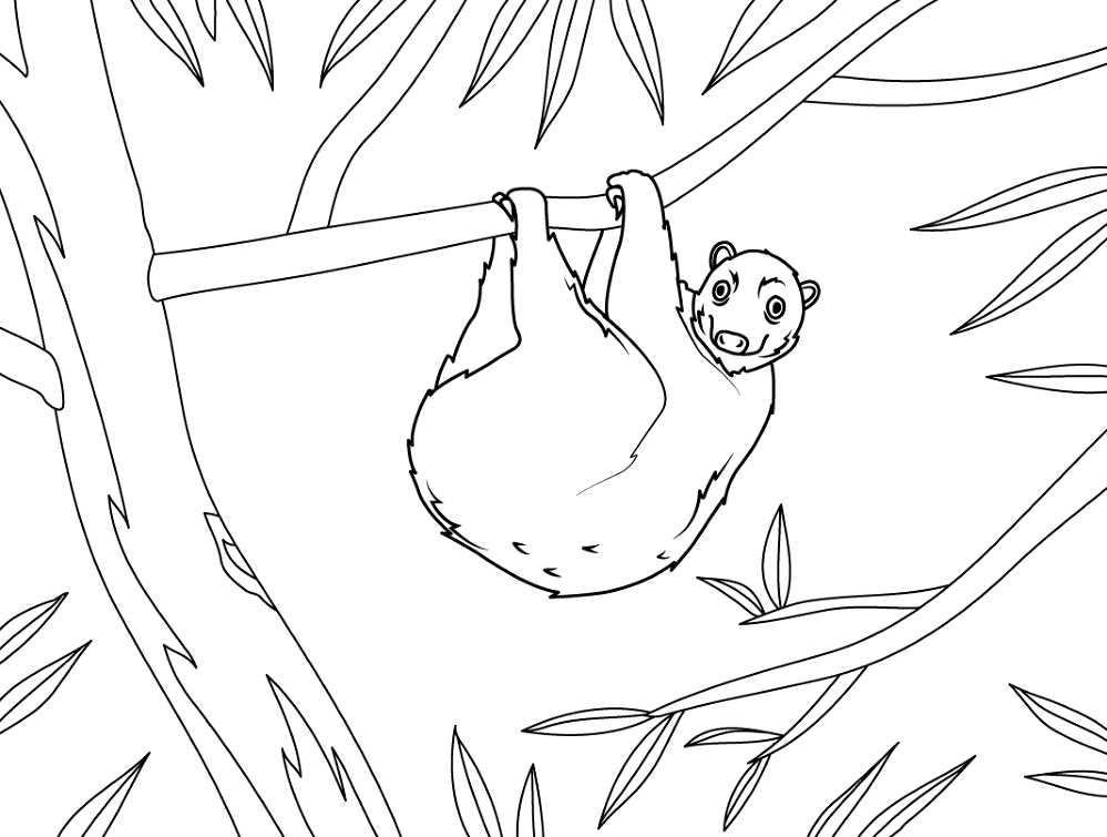 Philippine Flying Lemur Coloring Page Md Coloring Page — Free Printable — free printable coloring page