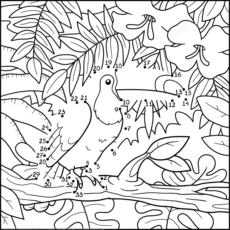 Toucan In A Jungle Dot To Dot Md Coloring Page — Free Printable — free printable coloring page