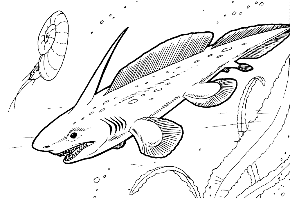 Plevrocantus Coloring Page Md Coloring Page — Free Printable — free printable coloring page