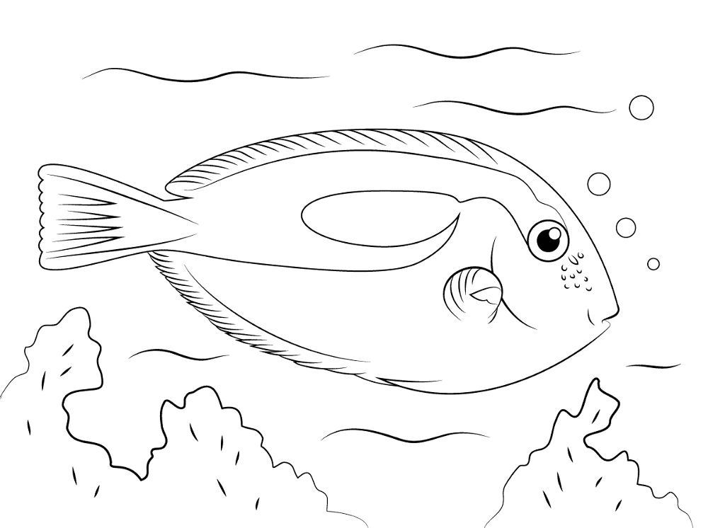 Blue Tang Md Coloring Page — Free Printable — free printable coloring page