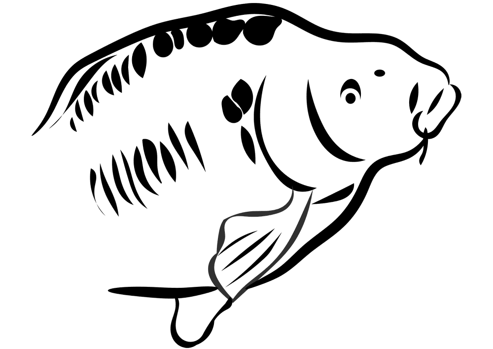 Carp 2 Coloring Page Md Coloring Page — Free Printable — free printable coloring page