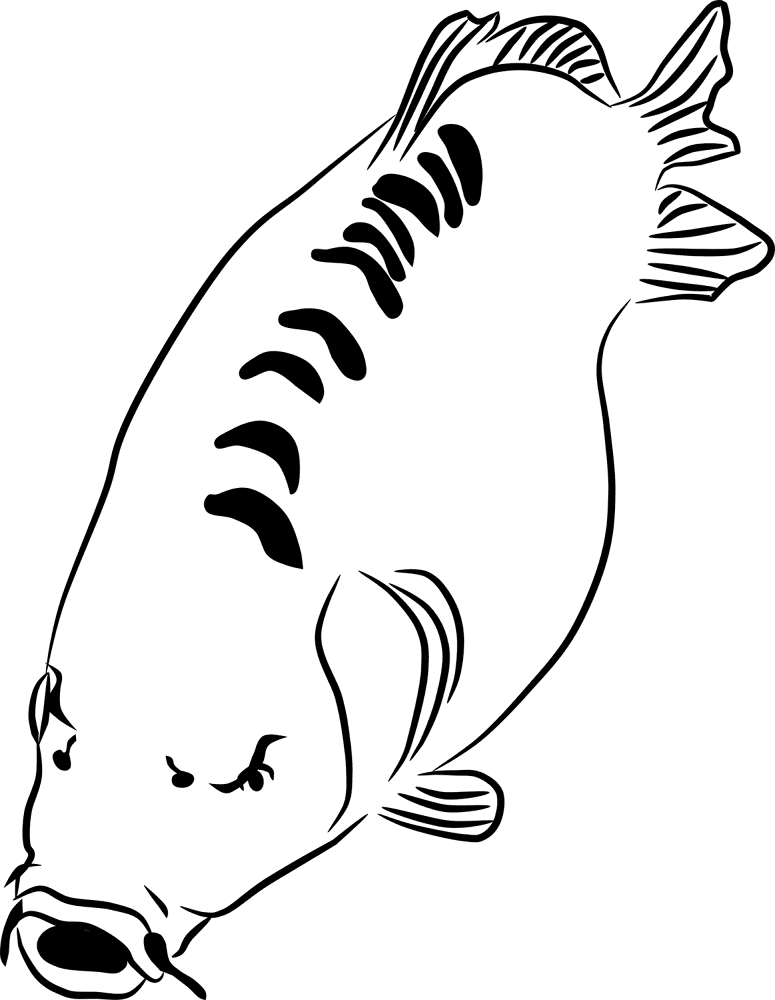 Carp 3 Coloring Page Md Coloring Page — Free Printable — free printable coloring page