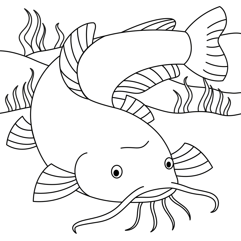 Catfish 2 Coloring Page Md Coloring Page — Free Printable — free printable coloring page