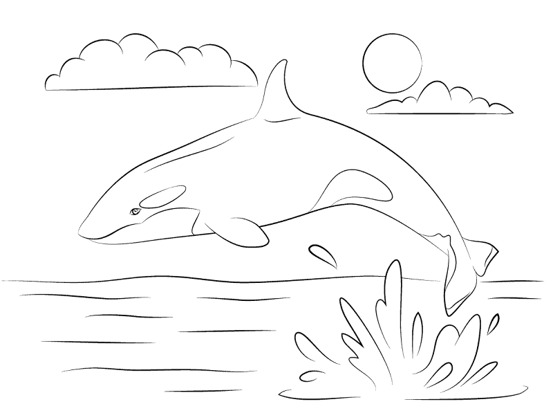 Cute Killer Whale Coloring Pages Md Coloring Page — Free Printable — free printable coloring page